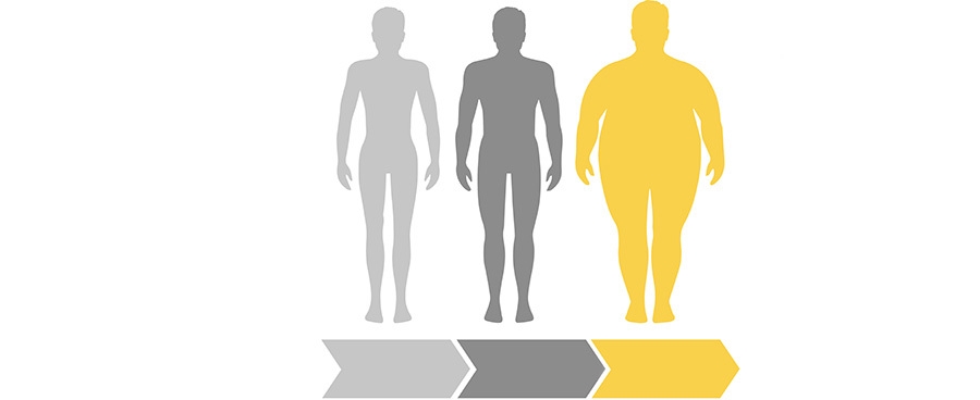 SLIM to FAT jpg